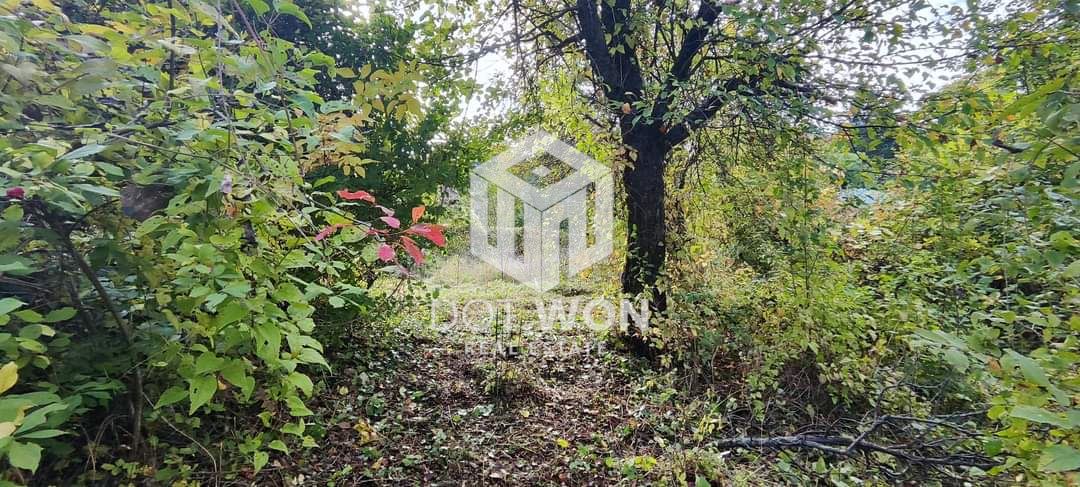 Plot in Bankya, Sofia - 0